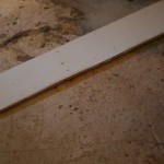 crawlspace mold