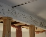 mold basement