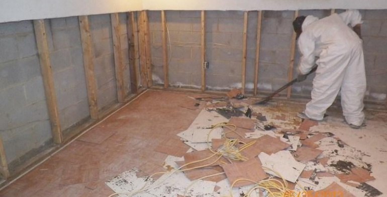 Mold Mitigation